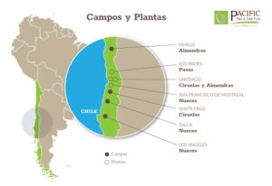 Campos-Plantas-1